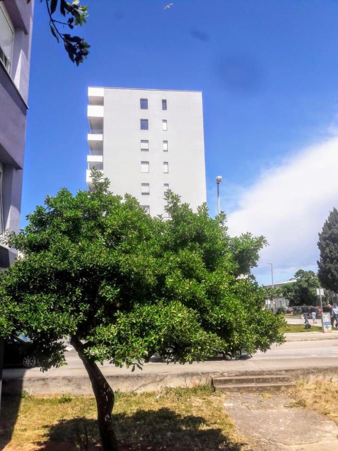 Studio Apartman Moonlight ザダル エクステリア 写真